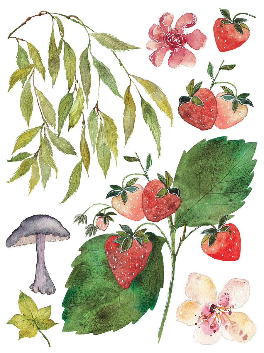 I.O.D. Whispering Willow Transfer featuring strawberries, leaves, and flowers design.