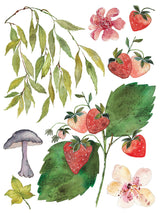 I.O.D. Whispering Willow Transfer featuring strawberries, leaves, and flowers design.