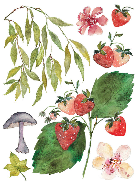 I.O.D. Whispering Willow Transfer featuring strawberries, leaves, and flowers design.