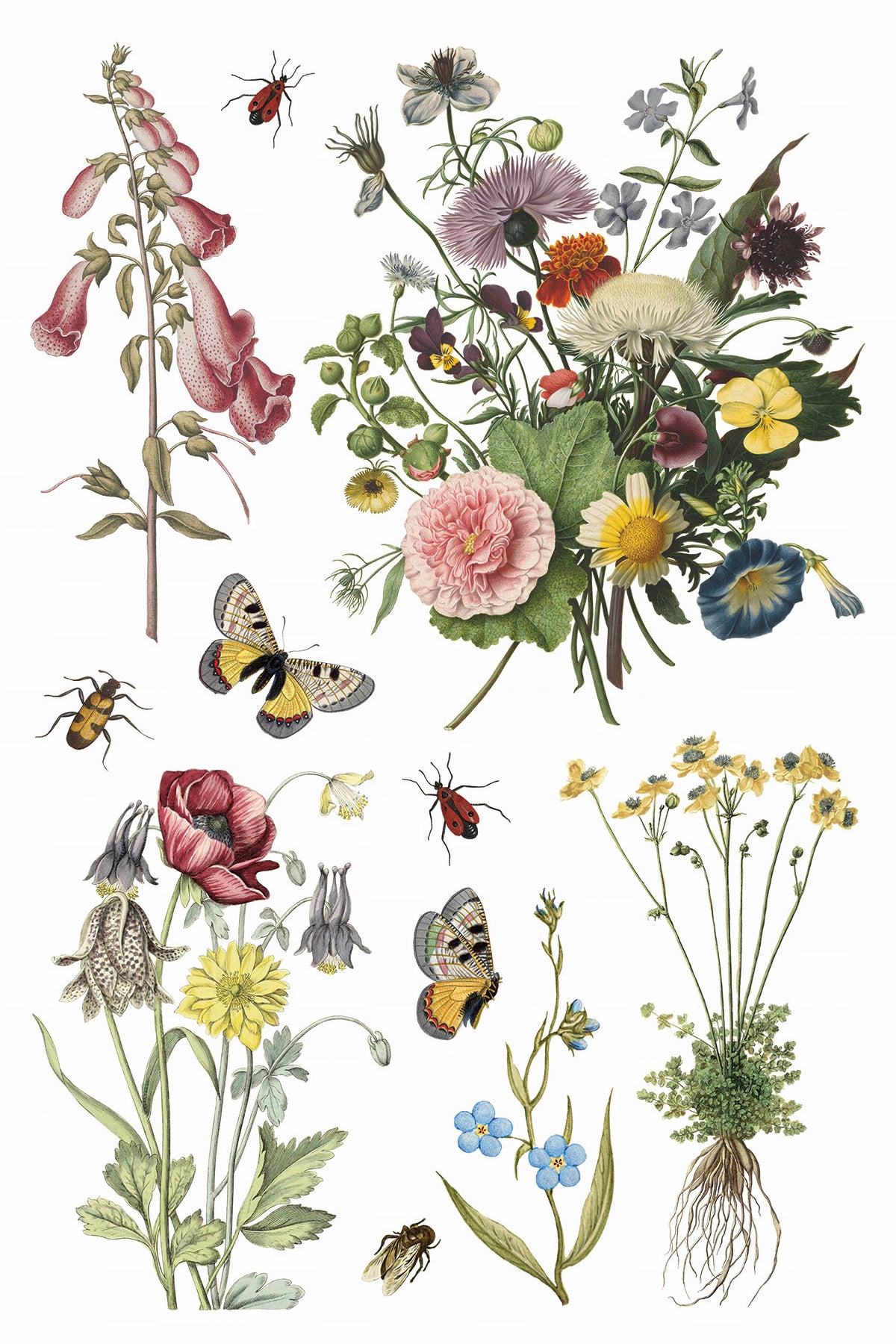 Wilde Bloemen Transfer by IOD with wildflowers and insects for Iron Orchid Designs projects.