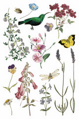 Wilde Bloemen Transfer by I.O.D. featuring botanical art with flowers, hummingbird, and insects.