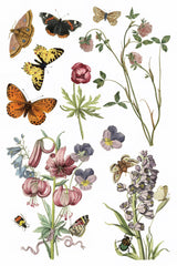 Butterflies and bees on wildflowers, Wilde Bloemen Transfer by IOD, Iron Orchid Designs.