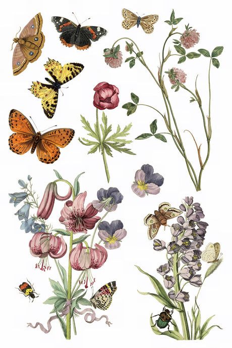 Butterflies and bees on wildflowers, Wilde Bloemen Transfer by IOD, Iron Orchid Designs.