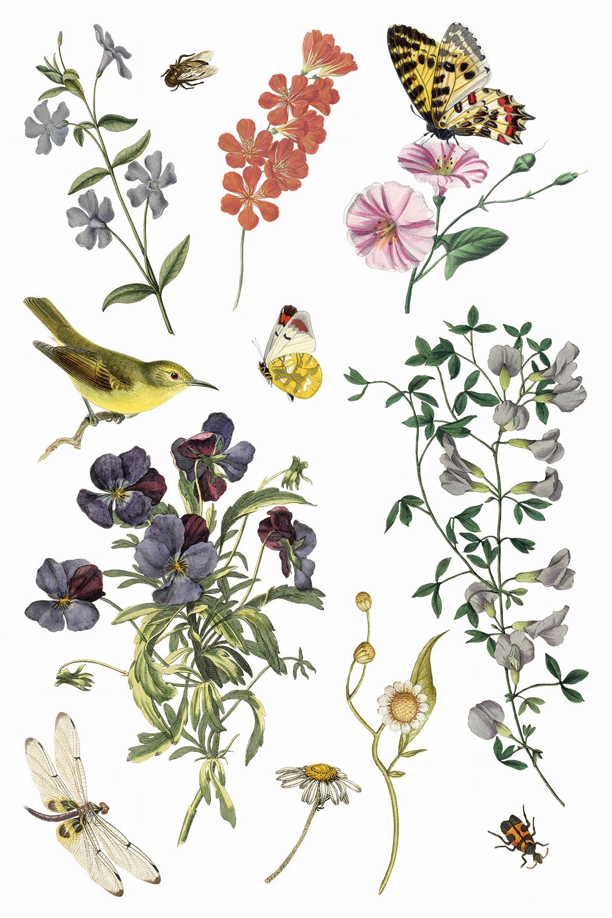 IOD Wilde Bloemen Transfer with wildflowers, birds, butterflies, insects, and dragonflies. Brand: I.O.D.