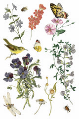 IOD Wilde Bloemen Transfer with wildflowers, birds, butterflies, insects, and dragonflies. Brand: I.O.D.