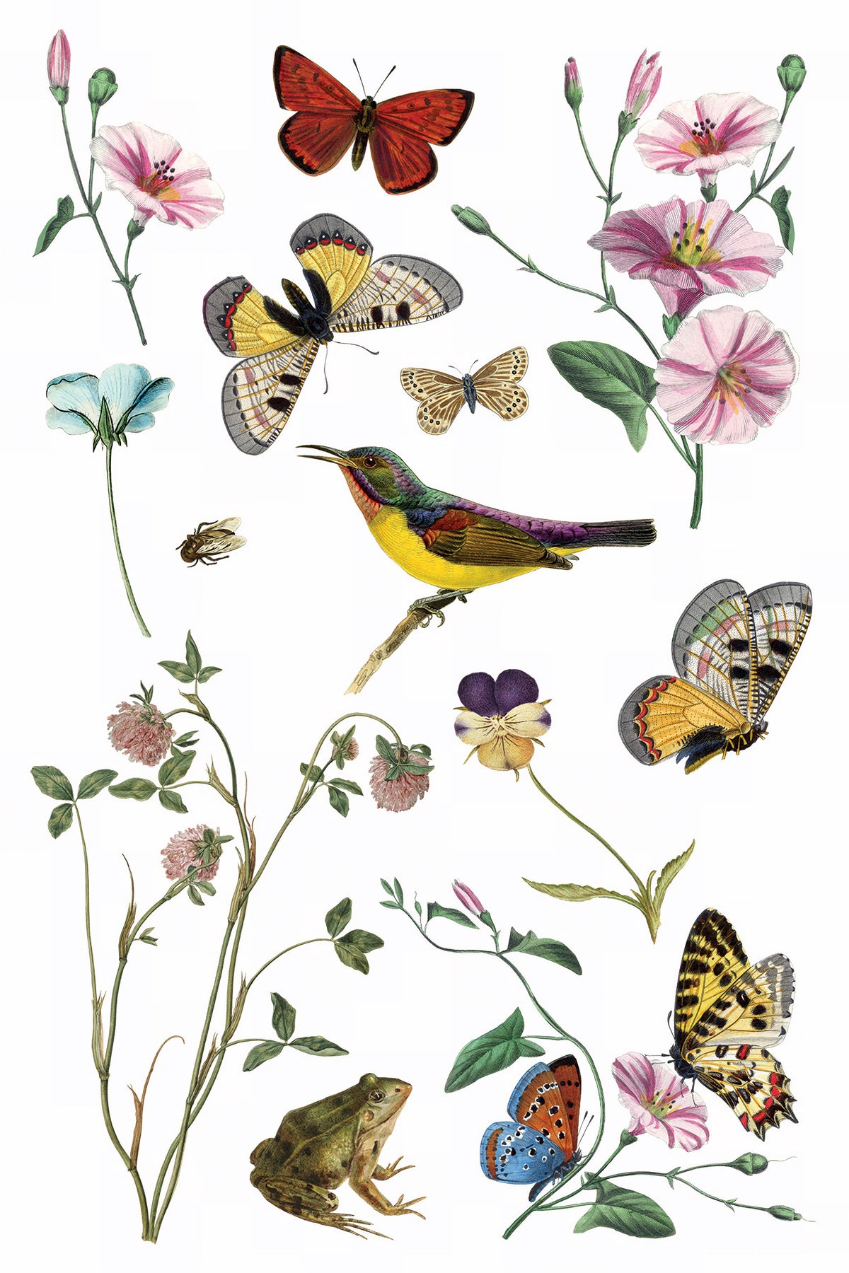 IOD Wilde Bloemen Transfer by I.O.D., white design with flowers, butterflies, birds, frogs, bees, and green leaves.