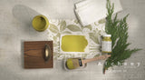 Paint supplies with Alchemy by Fusion Digital Downloads, brush, fabric, green swatch, and True to Color Brochure.