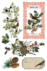 Winter Botanist Transfer 2025 by I.O.D. featuring vintage birds, holly, and berries. Limited release.