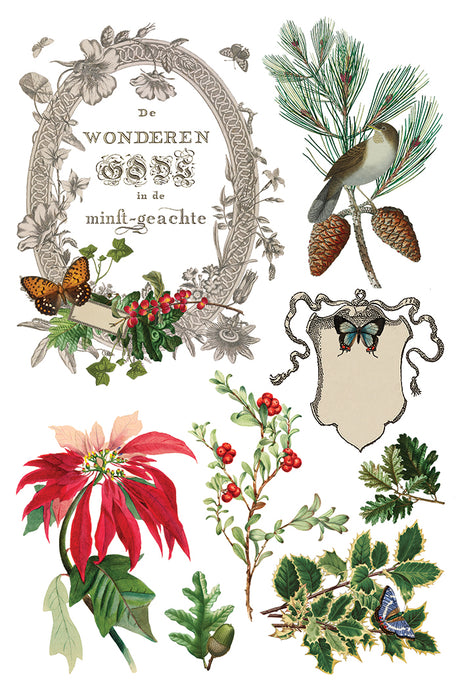 Vintage botanicals, birds, and butterflies for I.O.D. Winter Botanist Transfer (2025 Limited Release) projects.