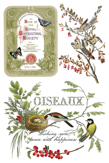 Winter Botanist Transfer by I.O.D., 2025 Limited Release with vintage botanicals, birds, French text, and ornate frames.