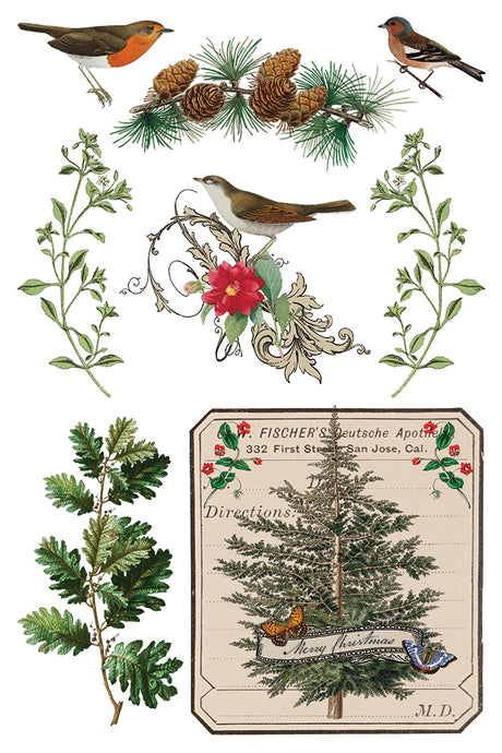 I.O.D. Winter Botanist Transfer 2025 Limited Release with vintage bird, plant, and tree illustrations.