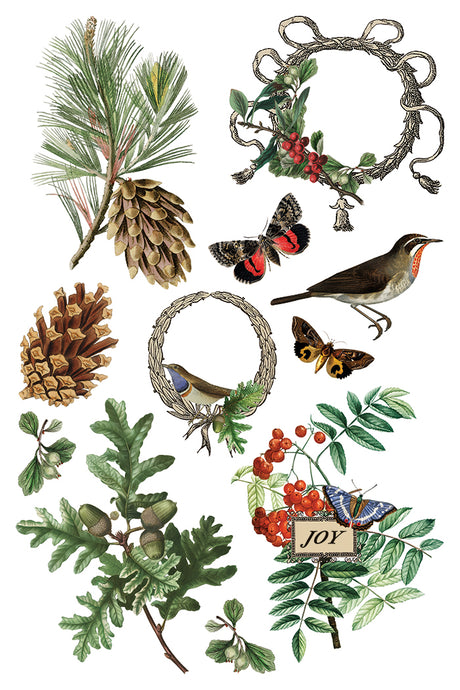 I.O.D. Winter Botanist Transfer (2025 Limited Release) with botanicals, pinecones, and wreaths on white background.