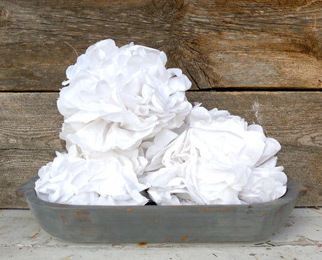 White tissue flowers in a metal container; background painted with Old Fashioned Milk Paint Zinc by Sweet Pickins.