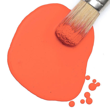 Paintbrush on Fusion Mineral Paint Aperol Spritz Milk Paint, with small paint drops on a white surface.