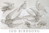 Birdsong Decor Mould by IOD - Iron Orchid Designs @ Painted Heirloom