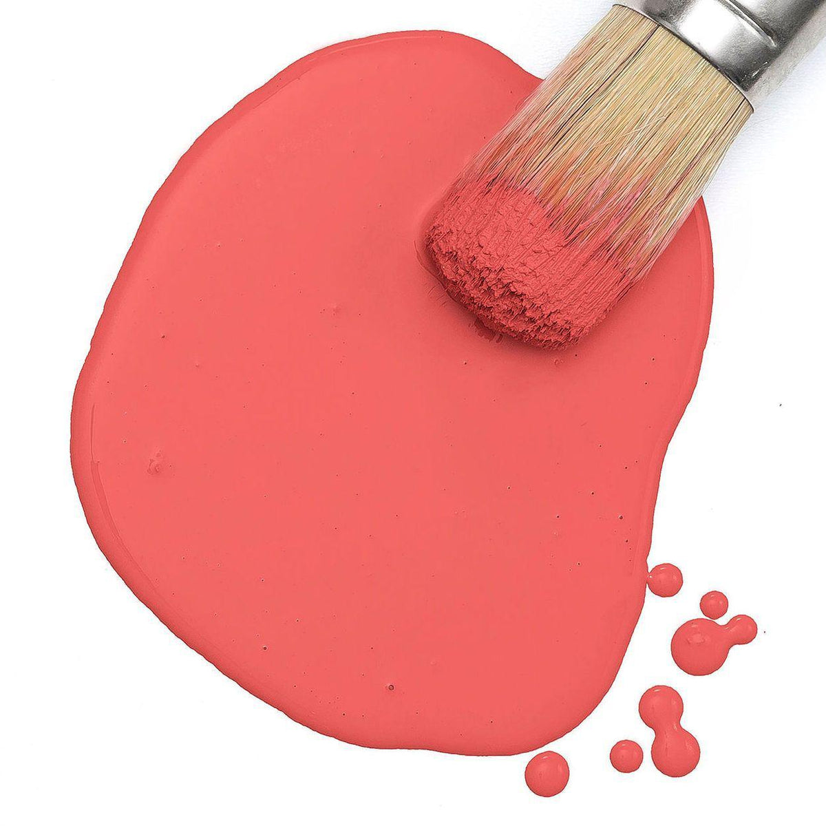 Brush resting in Casa Rosa Milk Paint by Fusion Mineral Paint, with pink paint splatters on a white surface.