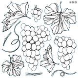 Grapes Decor Stamp by IOD - Iron Orchid Designs @ Painted Heirloom