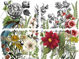 Midnight Garden Transfer Set by IOD - Iron Orchid Designs @ Painted Heirloom