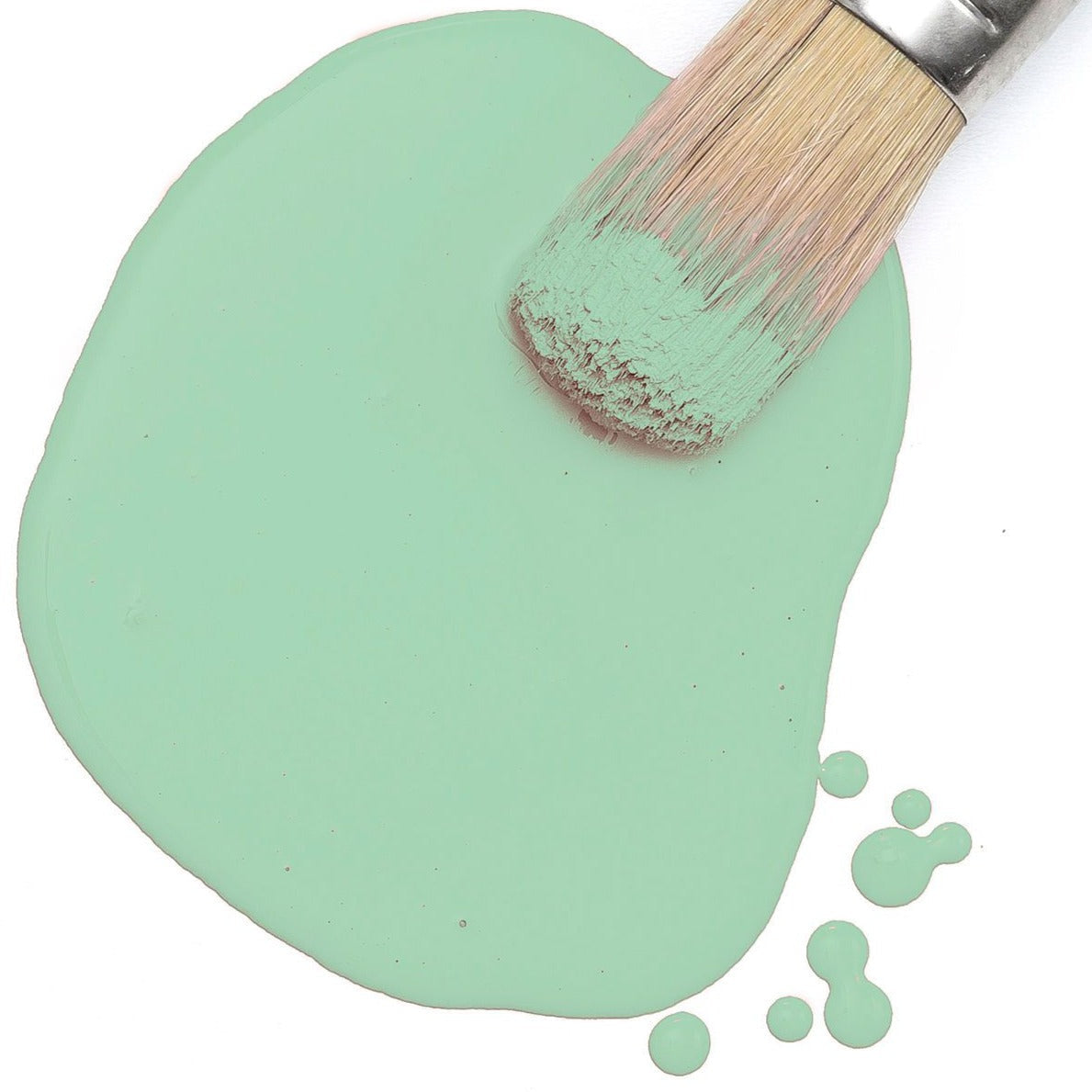 Paintbrush resting on Mojito Milk Paint by Fusion Mineral Paint, with paint drops on a white background.