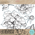 Peonies Decor Stamp by IOD - Iron Orchid Designs @ Painted Heirloom