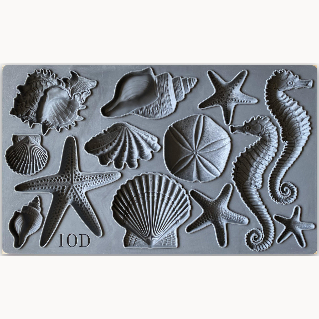Sea Shells Decor Mould by IOD - Iron Orchid Designs @ Painted Heirloom