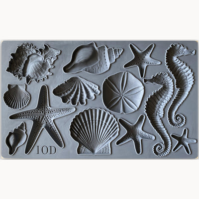 Sea Shells Mould by IOD - Iron Orchid Designs