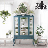 Terrarium Milk Paint by Fusion @ Painted Heirloom